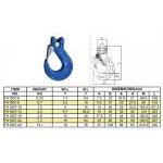 Clevis Sling Hook With Cast Latch 100G