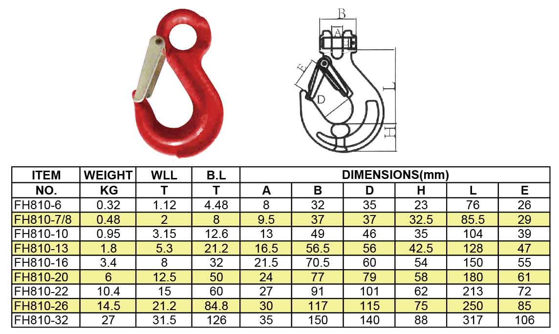 Eye Sling Hook With Cast Latch G80